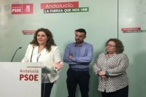 PSOE destaca el aporte de colectivos LGTBI para completar Ley sobre igualdad de trato