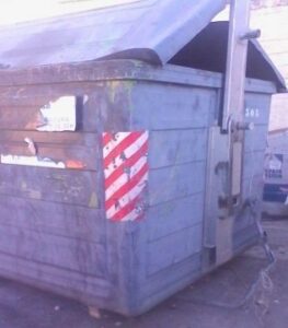 IU reclama la instalación de mas contenedores en la calle Venus