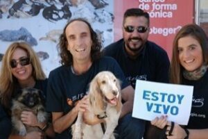 Campañas en contra del abandono y maltrato animal