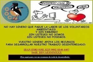 Se busca ayuda para un grupo de investigación que analice el impacto de la rotura del cable