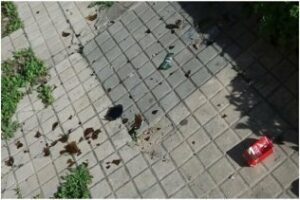 El PSOE de Algeciras denuncia el estado del acceso de entrada y pasillo del Centro Los Alcornocales