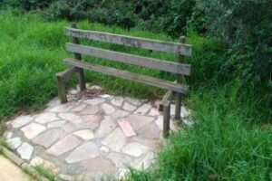 Aparente abandono en el parque del Río Pícaro