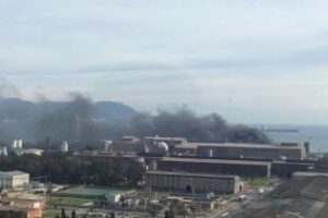 Verdemar denuncia la ausencia de Planes de Emergencia para la comarca