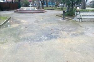 ASSP denuncia "considerables daños en el Parque María Cristina tras los festejos de diciembre"