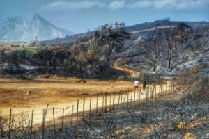 La Guardia Civil interviene en un total de 27 incendios durante la campaña INFOCA 2017