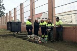 Labores de limpieza y desbroce en el Saladillo