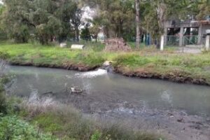 Absoluta dejadez y vertidos en el Arroyo de Guadacorte