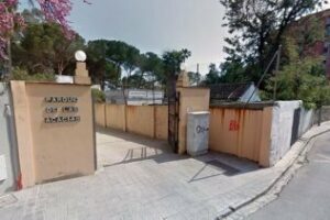 Parques y Jardines informa que en Las Acacias se están talando árboles enfermos