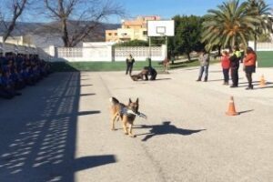 La Policía Local muestra el trabajo de la Unidad Canina