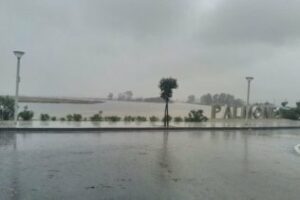 Colectivos ecológicos por la defensa de los humedales en el Parlamento Europeo