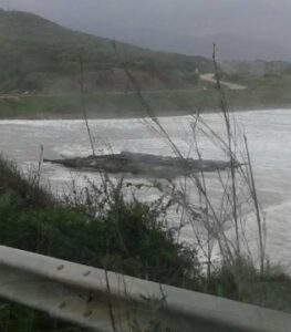 Mejillonera a la deriva en Getares