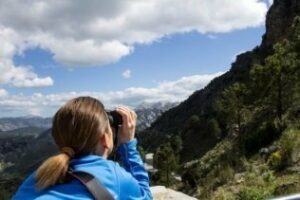 El Patronato promociona la provincia como destino de turismo ornitológico en la FIO
