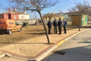 El Ayuntamiento limpia y desbroza la plaza Pangea en San Bernabé