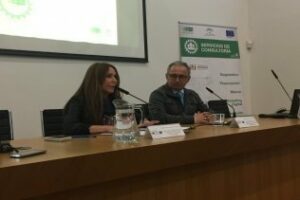 Cuarenta firmas gaditanas conocen los servicios de Extenda en Algeciras