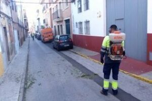 Operarios de Algesa limpian el vertedero incontrolado de las avenidas Virgen de Palma y San Bernabé