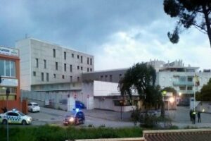 Caída de un árbol en la avenida del Embarcadero