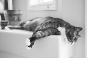 La importancia del orden como llave a nuevas oportunidades