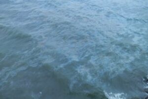 Yo reportero: Agua color gasolina en la Concha