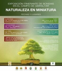Mancomunidad organiza la exposición itinerante Naturaleza en miniatura