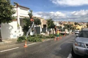 Parques y Jardines lleva a cabo una campaña de poda de árboles