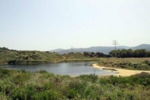 Criticas al Delegado de Urbanismo de Algeciras