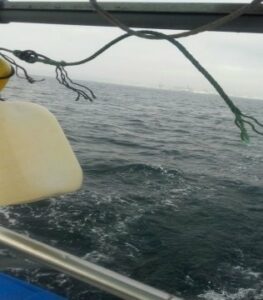 Cortan las redes de un pesquero a una milla de Gibraltar y acosan a otros tres