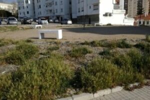 Desde El Saladillo, los vecinos solicitan la continuidad en el mantenimiento del sector