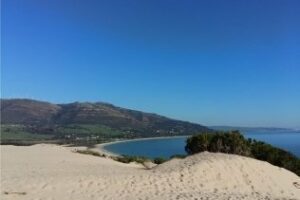 El Proyecto Eolo llega a la Unión Europea con una pregunta parlamentaria