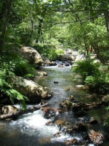 Turismo organiza con Camino y Jara la caminata saludable por el Río de la Miel