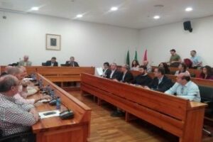 PSOE critica que el PP "haya pretendido diluir" el clamor social en favor de la Algeciras-Bobadilla