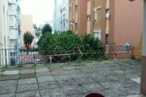 "Landaluce está dejando morir la UNED en Algeciras": PSOE