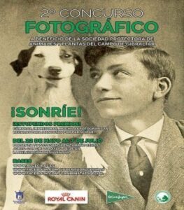 Juventud lanza el segundo concurso fotográfico para recaudar fondos para la Protectora de Animales
