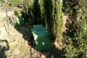 La Guardia Civil detiene a una persona que sustrajo 75 colmenas en la Peña de Tarifa