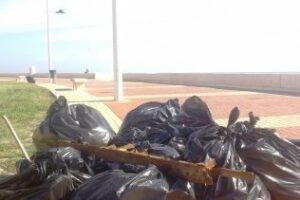 IU alerta sobre el incumplimiento del pliego de condiciones y de la situación de las playas