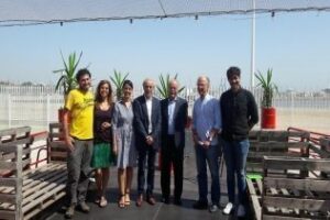 Alcultura presenta una completa programación para el verano 2017