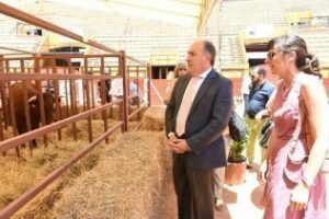 Valoración positiva sobre la celebración de la 168 Feria de Ganado