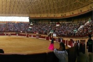 Éxito rotundo del festejo celebrado ayer en Los Barrios