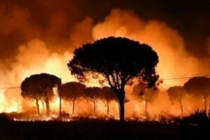 El alcalde convoca para el lunes a la Junta Local de Extinción de Incendios Forestales de Algeciras