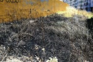 Incendio "avisado" en la trasera de las 505 viviendas de El Saladillo