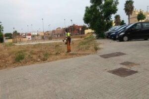 Continúan los trabajos de limpieza y desbroce en la zona del Acebuchal