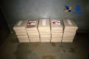 La Guardia Civil interviene 30 kilos de cocaína en la cámara frigorífica de un contenedor