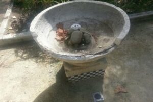 Podemos denuncia el abandono" de las principales fuentes de Algeciras