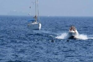 Denuncian el evidente maltrato de los delfines en la Bahía de Algeciras