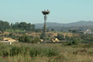 Ciudadanos pide a Defensa que Botafuegos sea incluido dentro del Parque Nacional de los Alcornocales