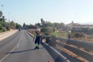 Algesa limpia y desbroza las parcelas municipales de la carretera de Getares
