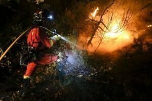 Un delicado incendio forestal afectó cerca de 1.5 hectáreas en Tarifa