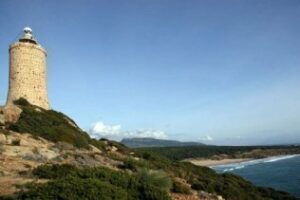 Un trabajo sobre una especie en extinción del Parque Natural del Estrecho obtiene un premio