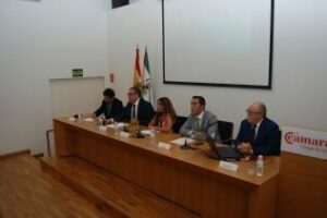 La Junta presenta las nuevas Órdenes de incentivos del proyecto IDEA ante un centenar de empresas