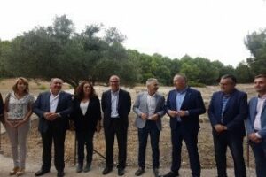 Continúan las visitas guiadas por el Enclave Arqueológico de Carteia