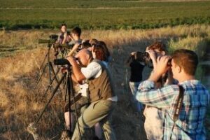 La Cámara de Comercio, Algeciras y Diputación presentan el "Birding Fam Trip"